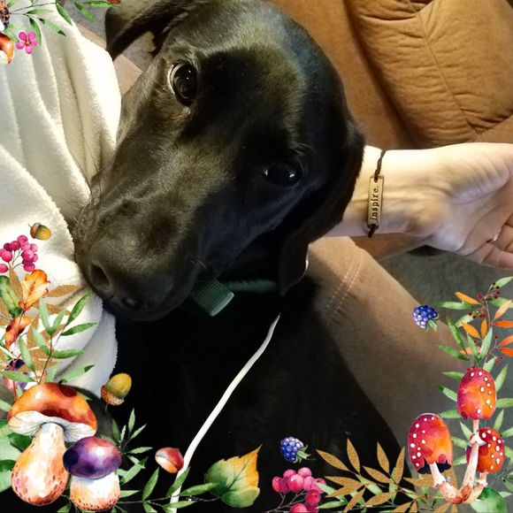 Meet your Posher, Beth - Picture 1 of 1